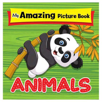 My amazing picture book : My first 100 words
